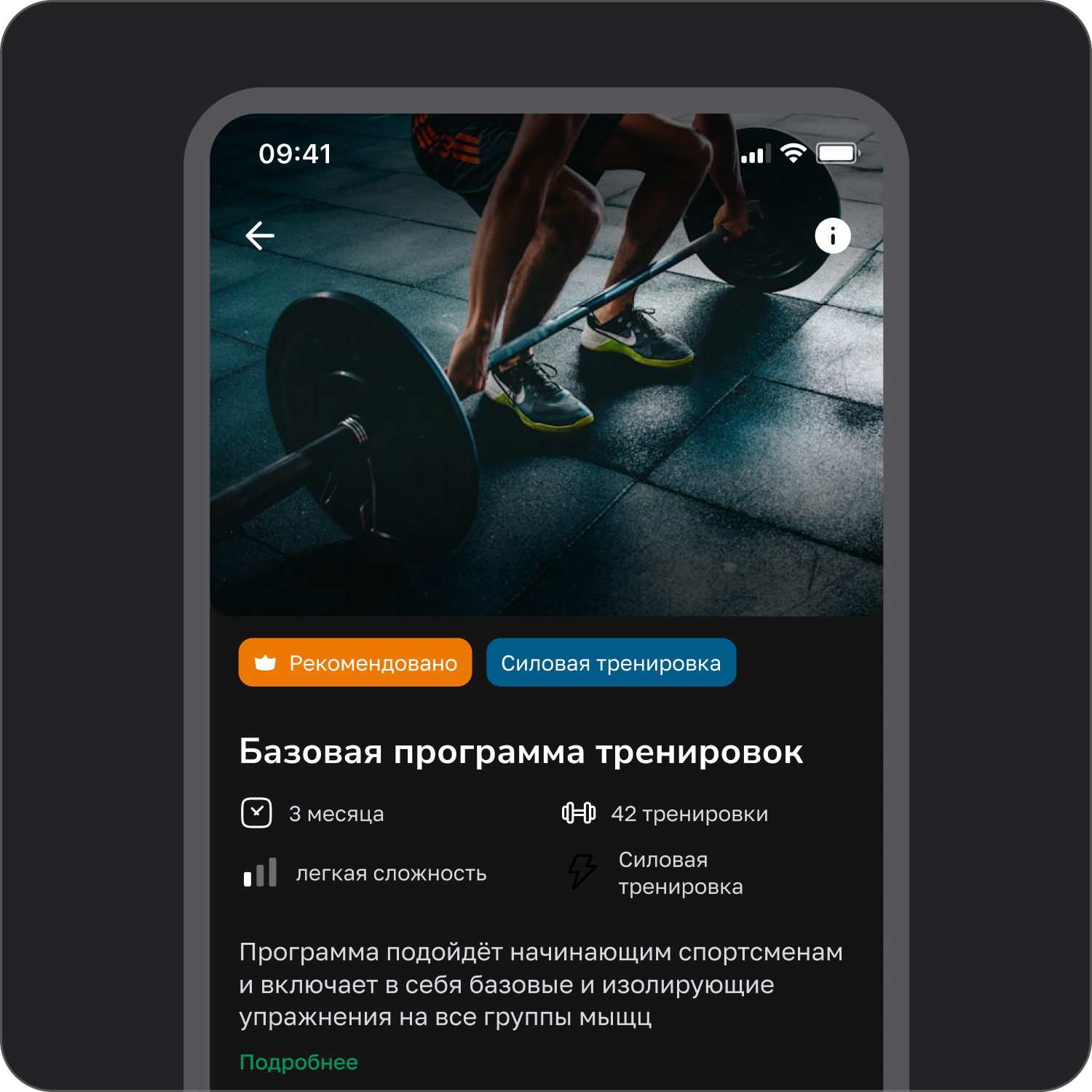 Базовая программа тренировок в DOGYM